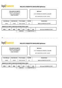 RIB BPI