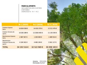 Déclaration du chiffre d’affaires des 3 derniers exercices